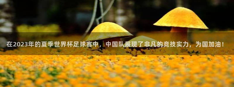 在2023年的夏季世界杯足球赛中，中国队展现了非凡的竞技实力