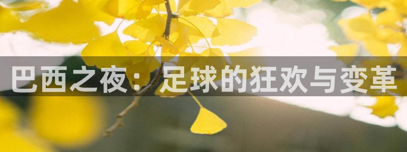 星空xk体育