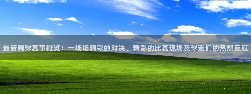 天空体育球员排名：最新网球赛事概览：一场场精彩的对决、精彩的