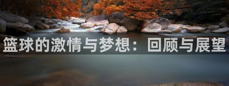 星空综合体育官网：篮球的激情与梦想：回顾与展望