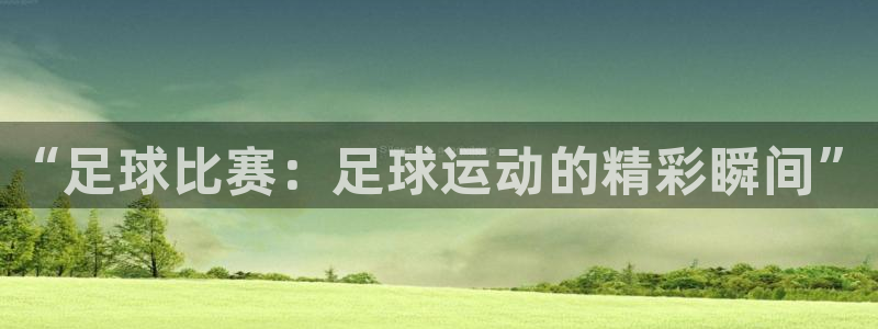 天空体育球员排名：“足球比赛：足球运动的精彩瞬间”
